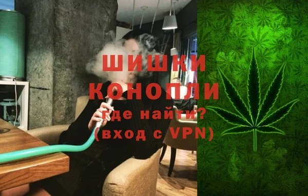сатива Алексин