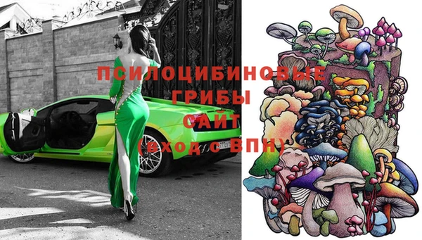 гидропоника Алзамай