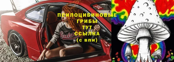 сатива Алексин