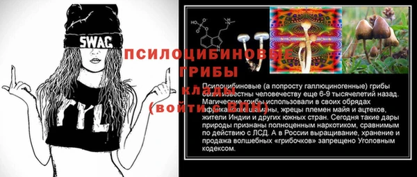сатива Алексин