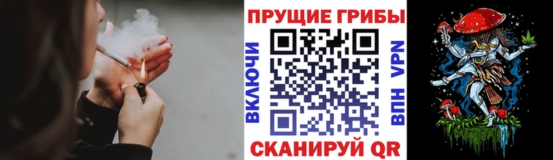 Псилоцибиновые грибы ЛСД  Пролетарск 